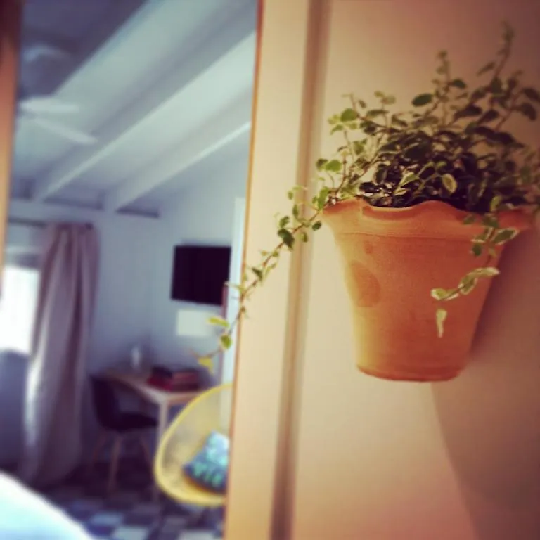 Ca'S Papa Hotel Valldemossa